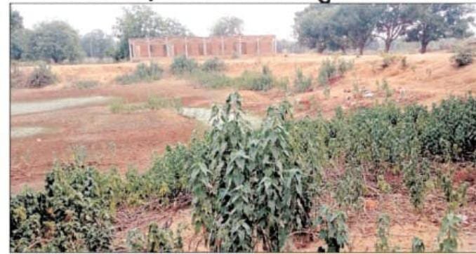 मानपुर में भूमाफियाओं का आतंक, तालाब और ज़मीन पर अवैध कब्ज़ा