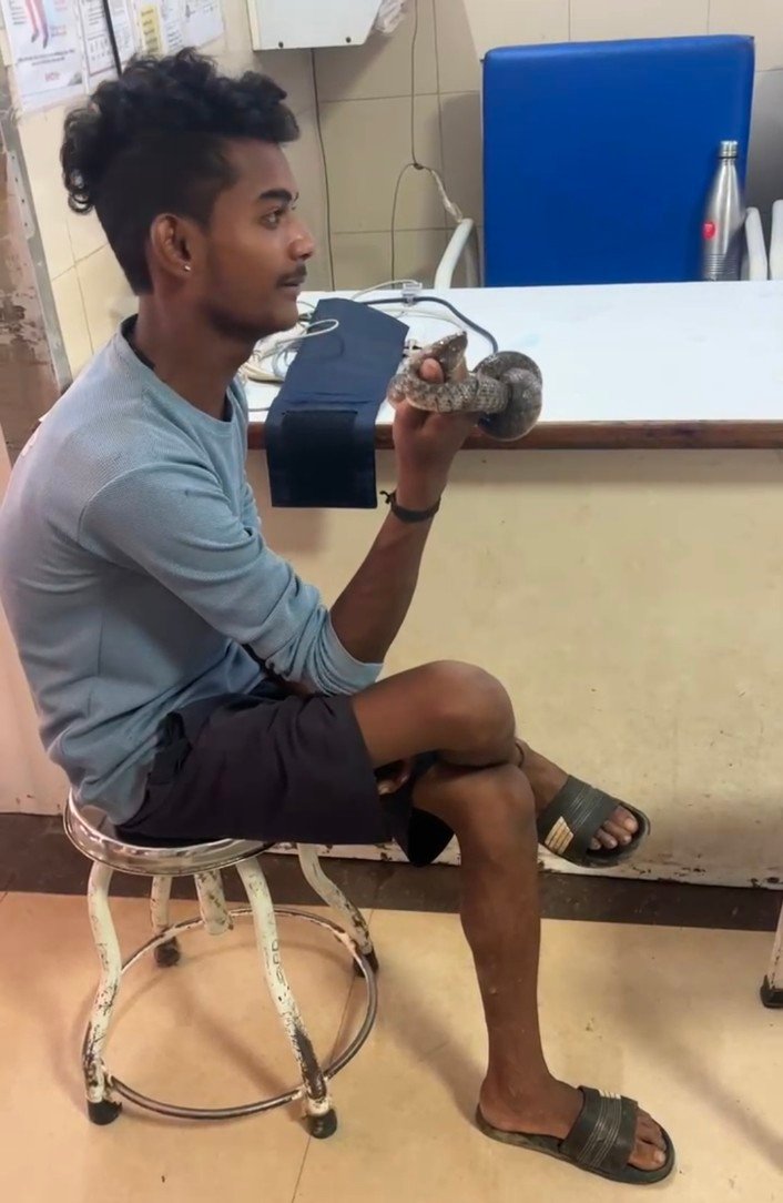 सांप ने युवक को डसा, लेकिन युवक ने ही सांप को दबोचकर पहुंचा अस्पताल