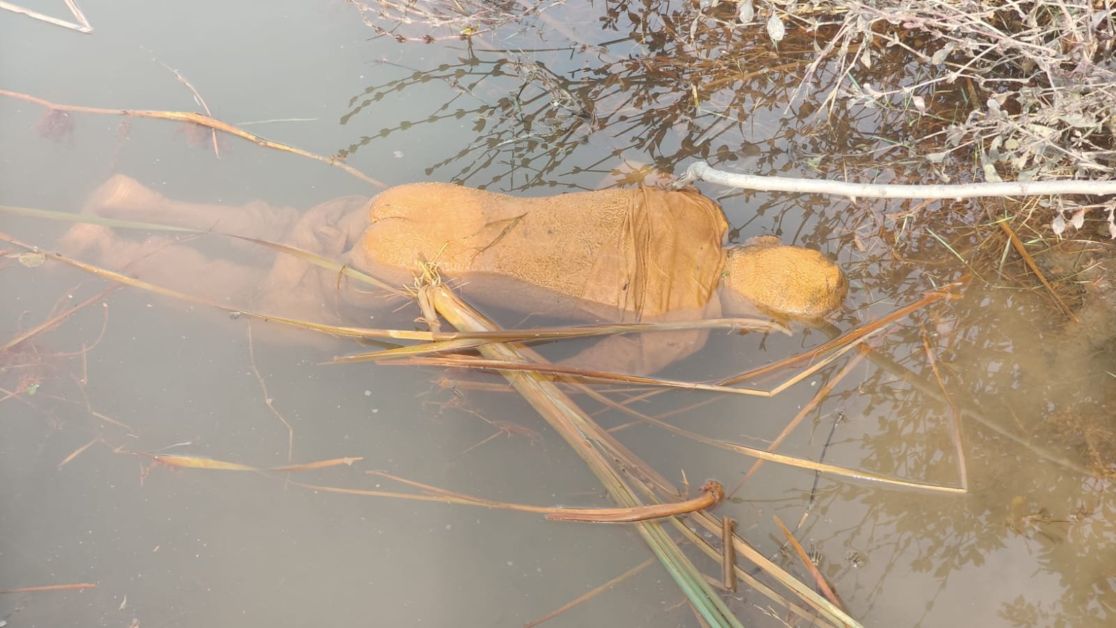 बंद कोयला खदान में 7 वर्षीय मासूम का शव मिलने से हड़कंप,पांच दिन से लापता था बच्चा, संदिग्ध हालात में मौत से उठे कई सवाल