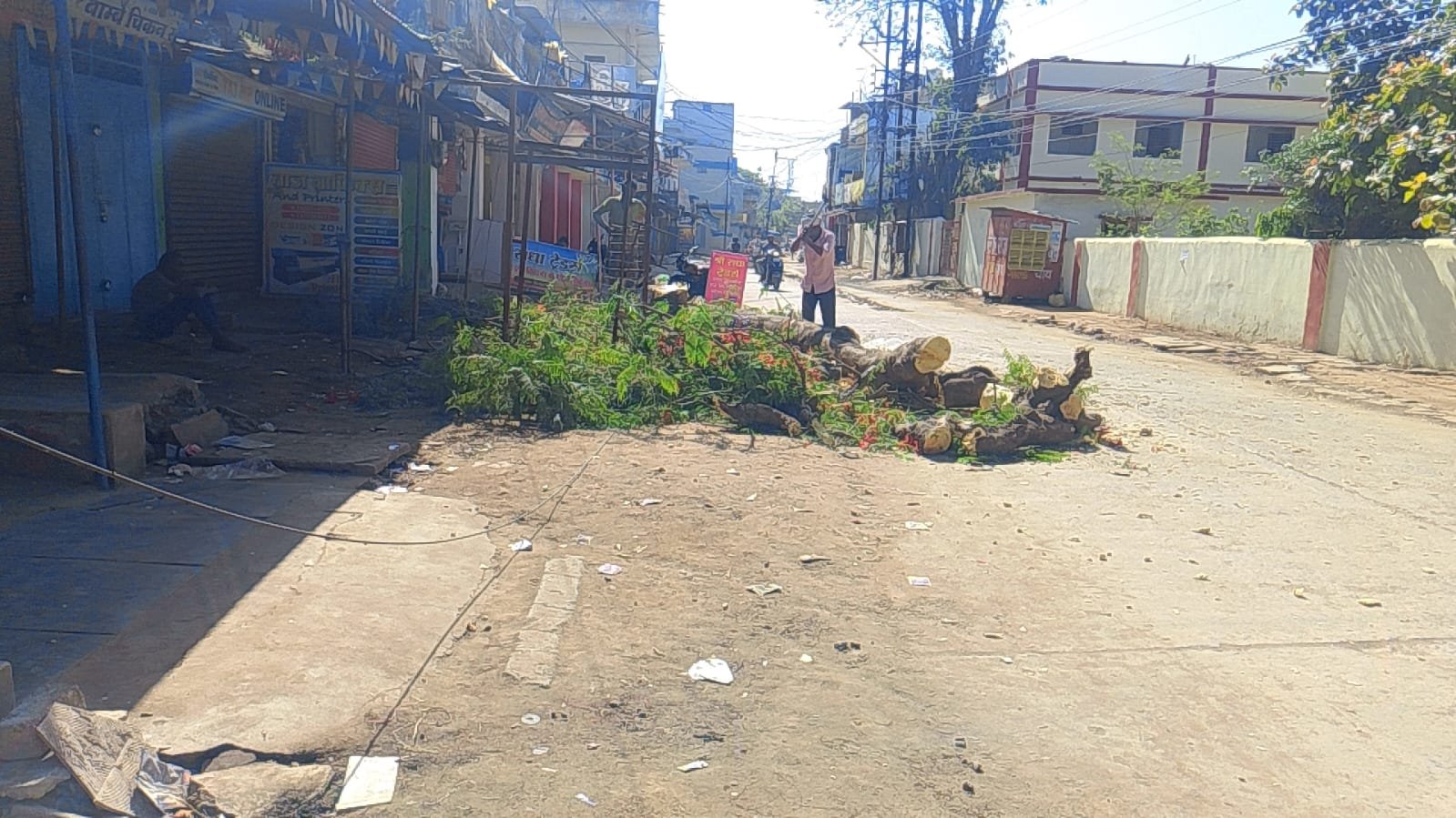 हरे कत्ल पर खामोश सिस्टम: नियमों को रौंदकर पेड़ की हत्या, विभागों की टालमटोल से उठे गंभीर सवाल