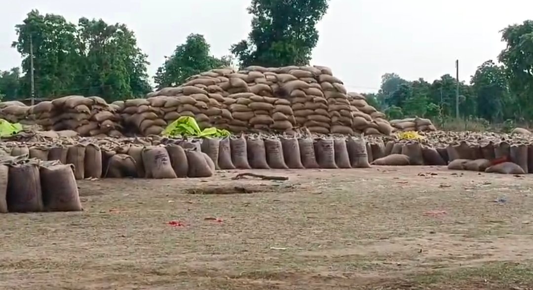 सेवा सहकारी समिति कोठिया केंद्र चंसुरा व उमरिया बकेली में अव्यवस्थाओं से किसान परेशान, प्रबंधक पर ढर्रेशाही के आरोप