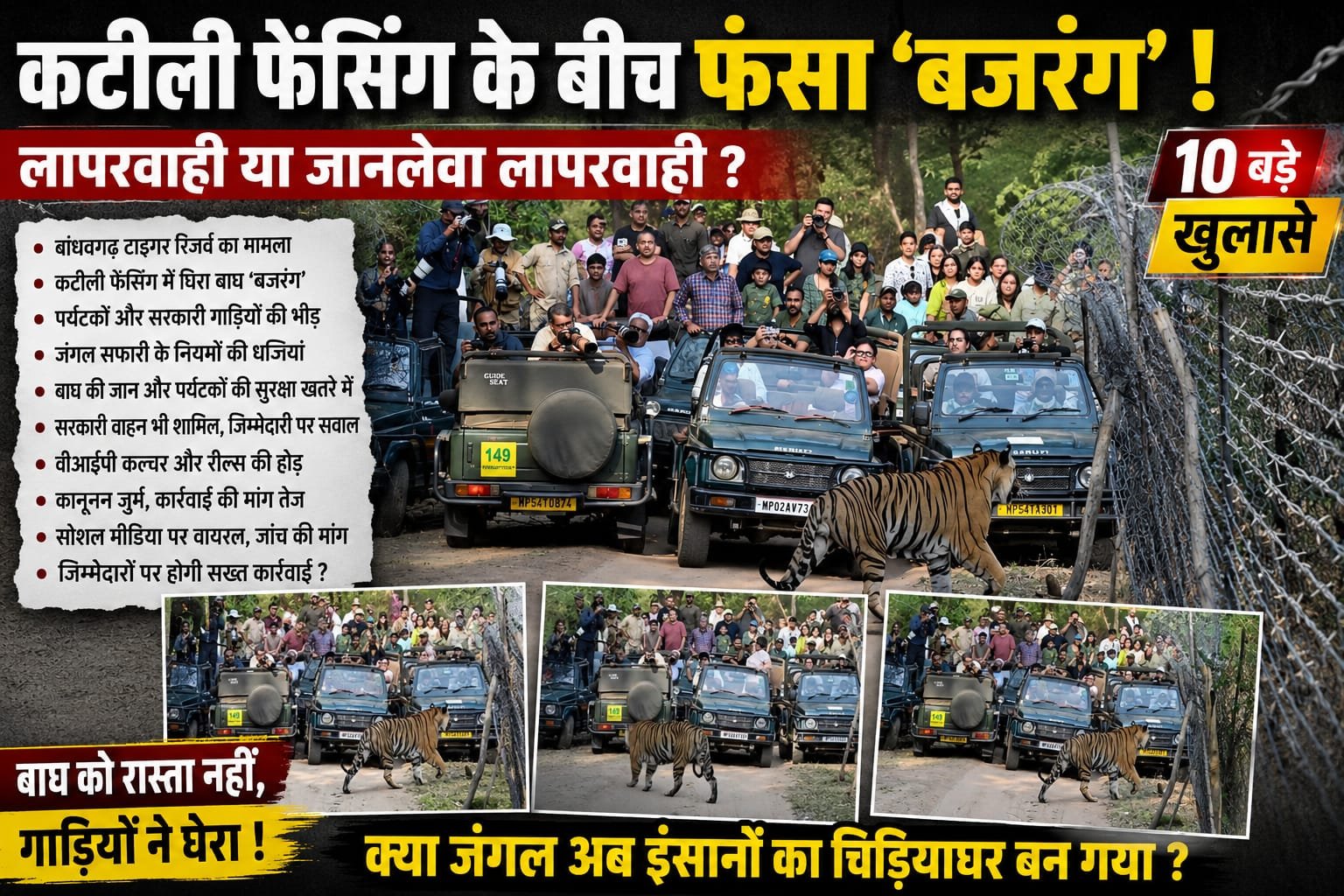 “बांधवगढ़ में बाघ ‘बजरंग’ की घेराबंदी! वायरल वीडियो ने खोली सिस्टम की पोल”