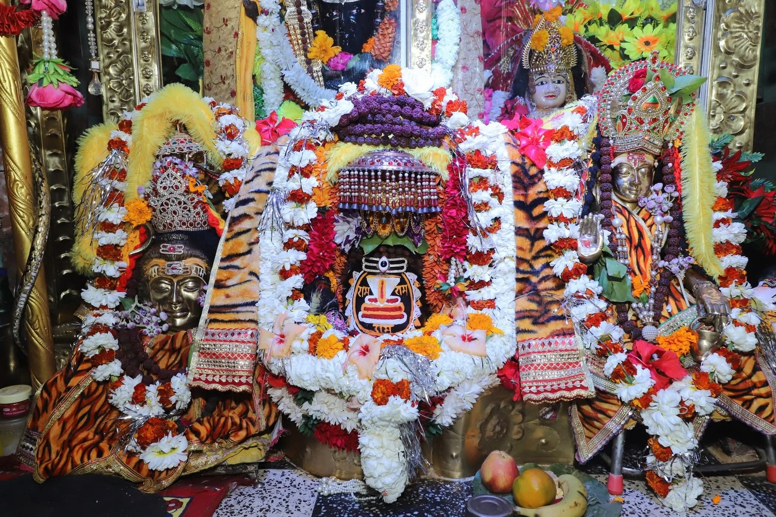 पांच वर्षीय संकल्प के द्वितीय चरण में उमड़ा आस्था का सैलाब, बाबू मदनलाल ग्रोवर की अगुवाई में नीलकंठेश्वर धाम पहुंची कांवड़ यात्रा संकल्प से साधना तक शिवभक्ति का विराट संगम बना सलैया पंडखुरी कन्हवारा-डीठवारा होते हुए नीलकंठेश्वर धाम में हुआ भगवान भोलेनाथ का जलाभिषेक